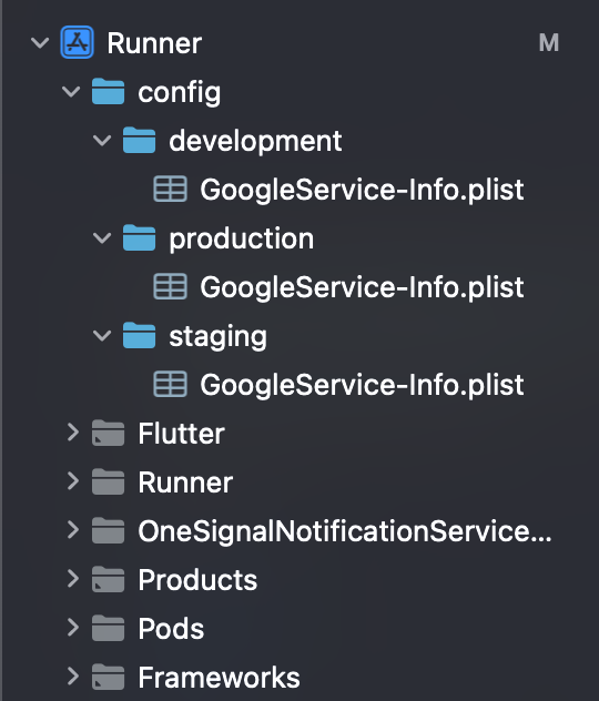 Runner - Config Folder